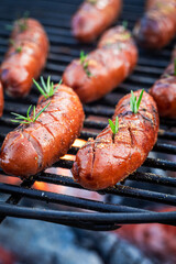 Tasty sausage on grill with herbs. Sausage on fire.