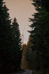 a road in a forest with a wind turbine on the horizon