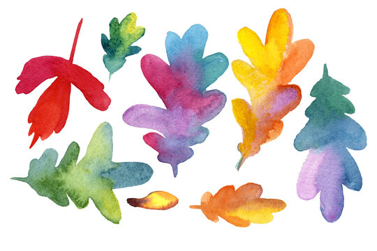 big colorful set of watercolor leaves