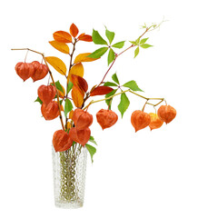 Twigs with orange physalis flowers and autumn colorful leaves in a glass vase isolated