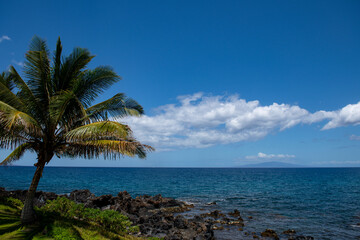 Fototapeta na wymiar Beautiful beach with palm trees and sky. Summer vacation travel holiday background concept. Hawaiian paradise beach. Luxury travel summer holiday background.