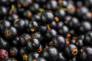 Currant as background or texture