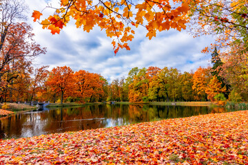 Alexander park in autumn, Pushkin (Tsarskoe Selo), St. Petersburg, Russia