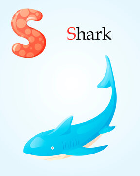Kids banner with english alphabet letter S and cartoon image of sea predator shark