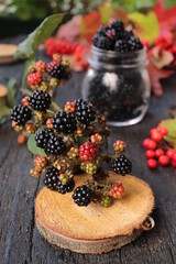 Autumn image with blackberries and red leaves, black background. Place for text.