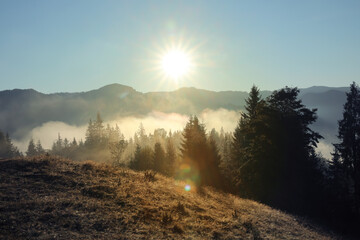 Beautiful view of mountains covered with fog at sunrise