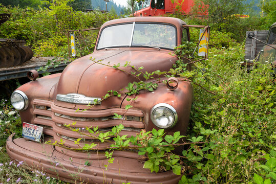 Weeds grow over an antique truck in a junkyard in Idaho, USA - July 26, 2021