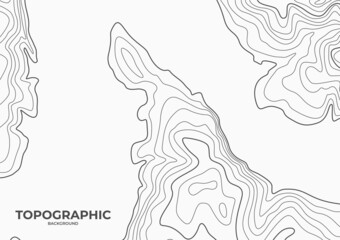 topographic map background. peninsula contour map. cartography vector pattern