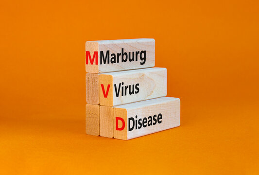 MVD, Masrburg virus disease symbol. Concept words MVD, Masrburg virus disease on wooden blocks on a beautiful orange background. Medical, MVD, Masrburg virus disease concept. Copy space.