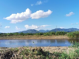 View of the Northern Range from the Caroni Wetlands, Trinidad and Tobago