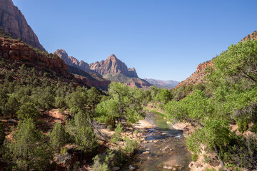 Iconic view of  the Virgin River in Zion National Park, Utah
