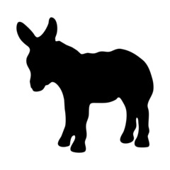 Fototapeta na wymiar Vector animal illustration. Black donkey on a white background.