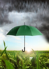 Open green umbrella under heavy rain in field