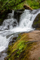 waterfall in the forest