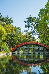 Fototapeta premium bridge over the river