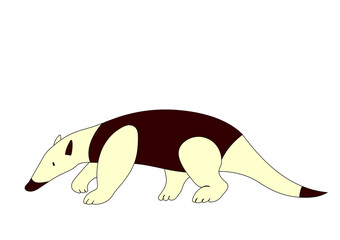 アリクイのイラスト（ベクター）