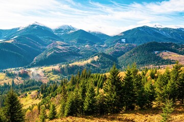 Fototapeta na wymiar Deforestation in the mountains of Carpathian, view on a beautiful cloudy warm day