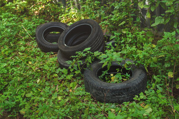 Illegal dumping of tires in nature.