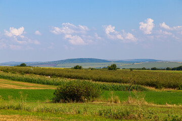 The hilly nature of Eastern Europe with fertile soils for agriculture. Landscape or background
