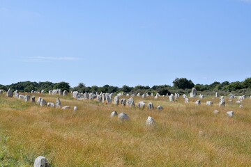 Obraz premium alignments of menhirs at Carnac in Brittany France