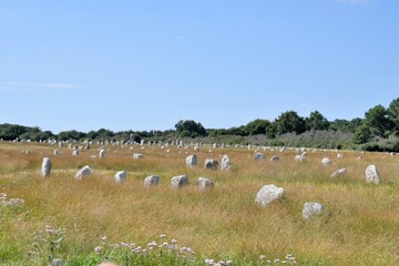 Fototapeta premium alignments of menhirs at Carnac in Brittany France