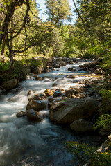 Obraz premium Río y árboles