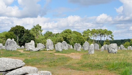 Naklejka premium alignments of menhirs at Carnac in Brittany France