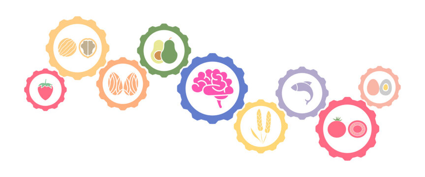alimentos saludable para el cerebro