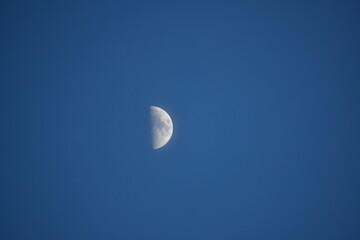 First quarter of the moon at dusk