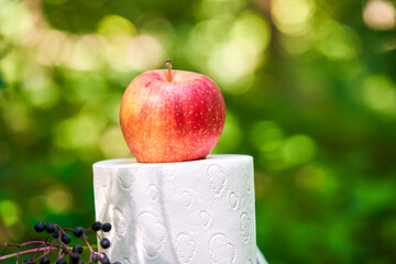 red apple on a roll of toilet paper next to an elderberry on the background of nature. Healthy...