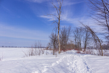 Winter wonderland scene and landscape Ontario Canada