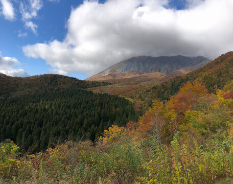 蒜山高原images Browse 718 Stock Photos Vectors And Video Adobe Stock 蒜山高原images Browse 718 Stock Photos Vectors And Video Adobe Stock