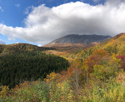 蒜山高原images Browse 718 Stock Photos Vectors And Video Adobe Stock 蒜山高原images Browse 718 Stock Photos Vectors And Video Adobe Stock