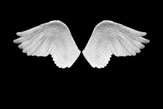 Concrete Angel wings plumage isolated on black background with clipping path
