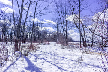 Winter wonderland scene and landscape Ontario Canada