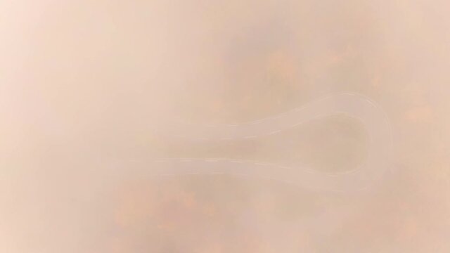 TOP DOWN: Fog covers the hairpin turn of a switchback road in the fall colored woods. Flying above a hairpin turn of a scenic forest road on foggy fall day in the picturesque Slovenian countryside.