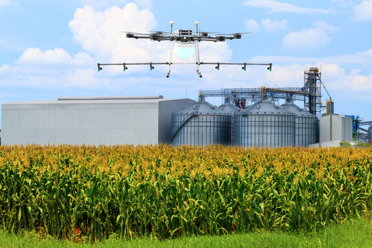 Drone for agriculture, smart farmer prepare use drone spray pesticide in corn field with agricultural siloes for storage and drying of grains, wheat, corn,