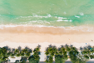 Top view coconut palm trees on the patong beach Phuket Thailand