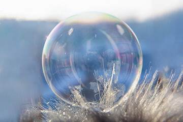 Frozen soap bubble with a beautiful pattern on the snow close-up on a blurry background