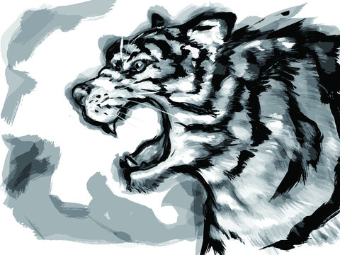 19 565 Best 虎 Images Stock Photos Vectors Adobe Stock