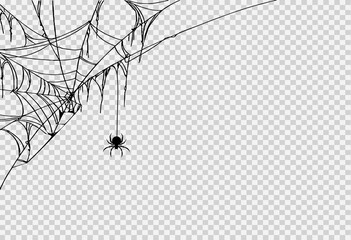 Halloween party background with spider hanging from spiderwebs isolated png or transparent texture,blank space for text,element template for poster,brochures, online advertising,vector illustration