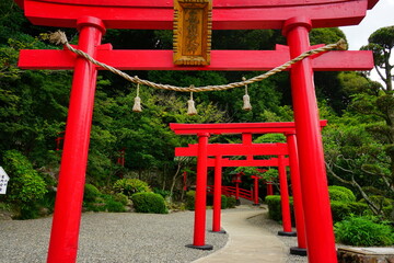 Fototapeta na wymiar Torii Gate of Hakuryuu Inari Shrine in Oita, Kyushu, Japan - 日本 九州 大分県 別府 白龍稲荷大神 鳥居 