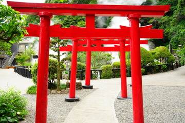 Torii Gate of Hakuryuu Inari Shrine in Oita, Kyushu, Japan - 日本 九州 大分県 別府 白龍稲荷大神 鳥居	