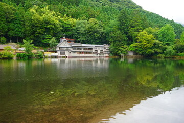 Fototapeta premium Landscape of Kinrin Lake in Yufuin, Oita, Japan - 日本 大分県 湯布院 金鱗湖 