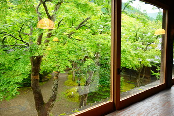 Spring Fresh Green Tree Scenery through the window with Wooden Frame, Japanese Style - 日本家屋 窓 緑の木