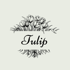 beautiful tulips invitation card background design. beauty flower vector design. black and white design. vintage design