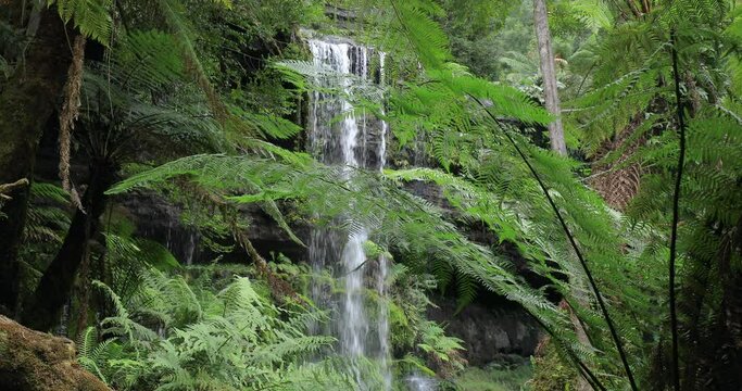 Locked off motion of the famous Russell Falls, with a tiered cascade amid rocks and ferns at Mount Field National Park, a very visited tourist destination in Tasmania, Australia