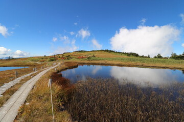 新潟県湯沢の苗場山の登山