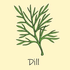 Doodle freehand sketch drawing of dill.