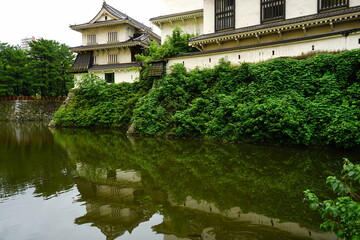 Fototapeta premium 北九州 福岡県 小倉城 お濠